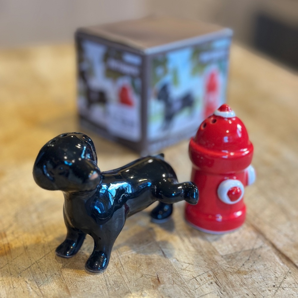 Pier 1 Black Labrador Dog and Red Fire Hydrant Salt & Pepper Shaker Set